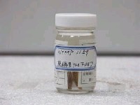 藏品(花尾帶(魚翁))的圖片